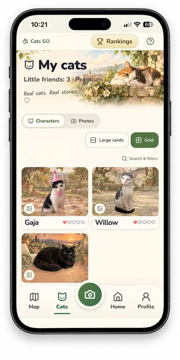 My Cats: a collection of real cat encounters