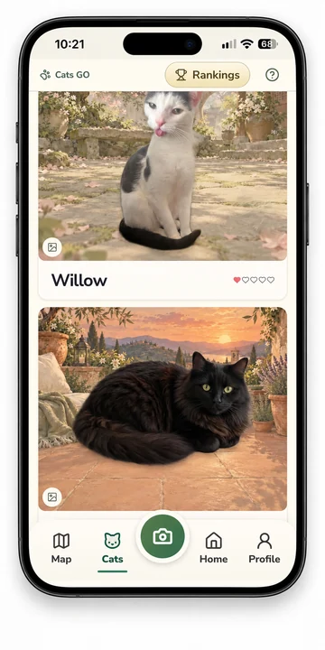 My Cats: Willow and Bola shown as large photo cards