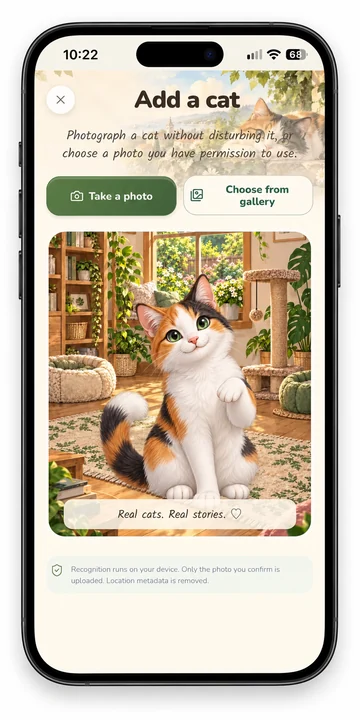 Add a cat: take a photo or choose one from your gallery