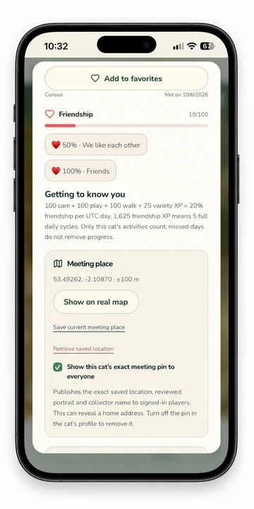 Friendship and location choices