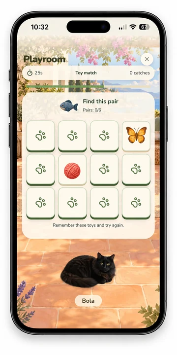 Toy Match: turn over cards and find matching pairs
