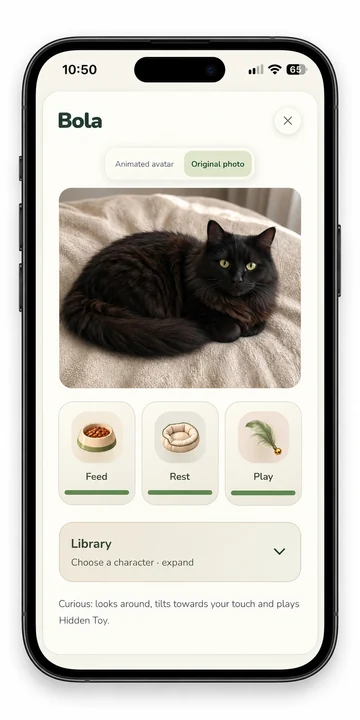 Bola: the original cat photo